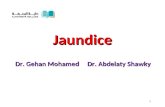 Jaundice Dr. Gehan Mohamed Dr. Abdelaty Shawky 1.