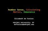 Number Sense, Calculating Matter, Immanence Elizabeth de Freitas Adelphi University, NY defreitas@adelphi.edu.