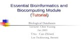Essential Bioinformatics and Biocomputing Module (Tutorial) Biological Databases Lecturer: Chen Yuzong Jan 2003 TAs: Cao Zhiwei Lee Teckkwong, Bernett.
