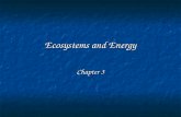 Ecosystems and Energy Chapter 3. What is Ecology? Ecology- Ecology- the study of systems that include interactions among organisms and between organisms.