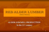 RED ALDER LUMBER (Alnus Rubra) ALDER SAWMILL PRODUCTION In the 21 st century 1.