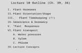 1 Lecture 10 Outline (Ch. 39, 36) I.Plant Hormones II.Plant Orientation/Shape III. Plant Timekeeping (?!) IV.Senescence & Dormancy V.“Fast” Responses.