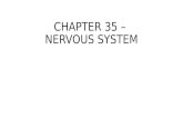 CHAPTER 35 – NERVOUS SYSTEM. 35-1 Human Body Systems.