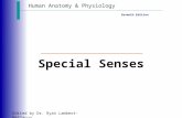 Human Anatomy & Physiology Seventh Edition Edited by Dr. Ryan Lambert-Bellacov Special Senses.