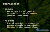 Sexual  Recombination of genetic materials to form a unique genetic individual  Asexual  Use of vegetative organs to create plantlets genetically.