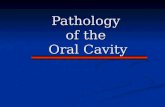 Pathology of the Oral Cavity. To learn: To learn: Disorders of the Oral Mucosa and Gingiva Disorders of the Oral Mucosa and Gingiva Disorders of the Salivary.