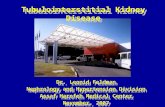 Dr. Leonid Feldman Nephrology and Hypertension Division Assaf Harofeh Medical Center November, 2007 Tubulointerstitial Kidney Disease.