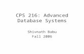 CPS 216: Advanced Database Systems Shivnath Babu Fall 2006.