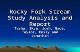 Rocky Fork Stream Study Analysis and Report Tasha, Skye, Josh, Gage, Taylor, Emily and Jonathan.