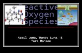 Reactive Oxygen Species April Luna, Mandy Luna, & Tara Monroe.