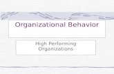 Organizational Behavior High Performing Organizations.