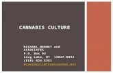 CANNABIS CULTURE MICHAEL NERNEY and ASSOCIATES P.O. Box 93 Long Lake, NY 12847-0093 (518) 624-5351 mcnerneyLL@frontiernet.net.