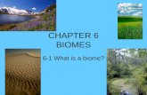 CHAPTER 6 BIOMES 6-1 What is a biome?. 1. What is a biome? A large region characterized by a specific type of climate and certain types of plants and.