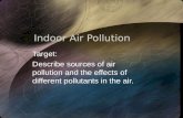 Indoor Air Pollution Target: Describe sources of air pollution and the effects of different pollutants in the air.