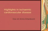 Highlights in ischaemic cardiovascular disease Doc dr Amra Džanković.