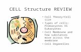 CELL Structure REVIEW Cell Theory/Cell size Types of cells: Prokaryotes VS Eukaryotes Cell Membrane and how substances move across the membrane Cell Organelles.