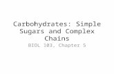 Carbohydrates: Simple Sugars and Complex Chains BIOL 103, Chapter 5.
