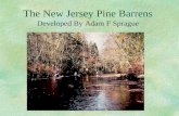 The New Jersey Pine Barrens Developed By Adam F Sprague.