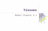 Tissues Mader Chapter 4.1. Types of Tissues A tissue is composed of specialized cells of the same type that perform a common function. *Four primary tissues.