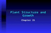 Plant Structure and Growth Chapter 35. n n Objectives F F List the differences between dicotyledons and monocotyledons F F Describe the basic structure.