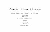 Connective tissue Major types of connective tissue: Areolar Adipose Fibrous connective Bone Cartilage Blood Hemopoietic.