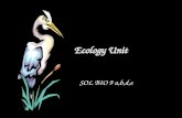 Ecology Unit SOL BIO 9 a,b,d,e. BIO SOL: 9 a,b,d,e The student will investigate and understand dynamic equilibria within populations, communities, and.