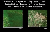 Natural Capital Degradation: Satellite Image of the Loss of Tropical Rain Forest 1975 2003.