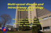 Multi-vessel disease and intracoronay physiology Combat MI 2009 Kees-joost Botman MD, PhD Catharina hospital Eindhoven Heart Institute The Netherlands.