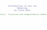 Introduction to Sea Ice Modeling by Clara Deal Focus: Ecosystem and biogeochemical modeling.