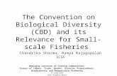 The Convention on Biological Diversity (CBD) and its Relevance for Small-scale Fisheries Emerging Concerns of Fishing Communities: Issues of Labour, Trade,