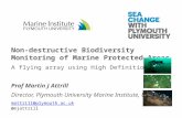 Non-destructive Biodiversity Monitoring of Marine Protected Areas A flying array using High Definition Video Prof Martin J Attrill Director, Plymouth University.