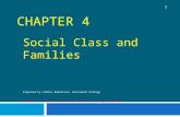 CHAPTER 4 Social Class and Families Prepared by Cathie Robertson, Grossmont College McGraw-Hill © 2010 The McGraw-Hill Companies, Inc., All Rights Reserved.