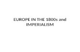 EUROPE IN THE 1800s and IMPERIALISM. THE INDUSTRIAL REVOLUTION The Industrial Revolution started in the 1780s in Great Britain Five factors that contributed.