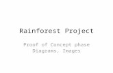 Rainforest Project Proof of Concept phase Diagrams, Images.