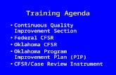 Training Agenda Continuous Quality Improvement Section Federal CFSR Oklahoma CFSR Oklahoma Program Improvement Plan (PIP) CFSR/Case Review Instrument.