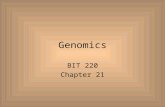 Genomics BIT 220 Chapter 21. Basic Terminology Autosomes vs Sex Chromosomes Autosomal Recessive need 2 copies of gene Sickle-Cell Anemia Cystic Fibrosis.