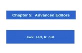 Chapter 5: Advanced Editors awk, sed, tr, cut. Objectives: After studying this lesson, you should be able to: –awk: a pattern scanning and processing.
