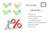 HMMM….. If there is 16% Thymine and 34% Cytosine in a DNA strand, what percent would be Adenine and Guanine? DO NOW: