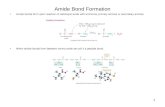 1 Amide Bond Formation Amide bonds form upon reaction of carboxylic acids with ammonia, primary amines or secondary amines. When amide bonds form between.