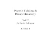Protein Folding & Biospectroscopy F14PFB Dr David Robinson Lecture 2.
