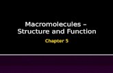 Macromolecules – Structure and Function.  Within cells, small organic molecules (monomers) are joined together to form larger molecules (polymers). 