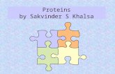 Proteins by Sakvinder S Khalsa WE SHALL LOOK AT PROTEIN SYNTHESIS. CONSIDER PROTEIN STRUCTURE AT THE MOLECULAR LEVEL. DISCUSS DIFERENT USES OF PROTEINS.
