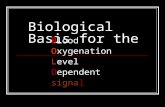 Biological Basis for the Blood Oxygenation Level Dependent signal.