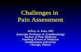 Challenges in Pain Assessment Jeffrey A. Katz, MD Associate Professor of Anesthesiology Section of Pain Medicine Feinberg School of Medicine Northwestern.