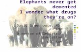 Elephants never get demented I wonder what drugs they’re on? David Greenhouse, MD, CMD Director of Geriatric Education USC SoM.