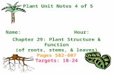 Chapter 29: Plant Structure & Function (of roots, stems, & leaves) Pages 582-607 Targets: 18-24 Name: Hour: Plant Unit Notes 4 of 5.