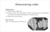Cell Structure and Function Links on Cell Theory Click the SciLinks button for links on the cell theory. - Discovering Cells Discovering cells Objectives.