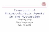 Transport of Pharmocokinetic Agents in the Myocardium Xianfeng Song Sima Setayeshgar Feb. 16, 2004.