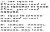 LO: SWBAT explain the difference between asexual and sexual reproduction and describe different types of asexual reproduction DN: Explain the differences.
