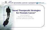 Annual prostate cancer symposium February 23, 2013 The Kimmel Cancer Center, Philadelphia, PA 2nd “ Novel Therapeutic Strategies for Prostate Cancer ”